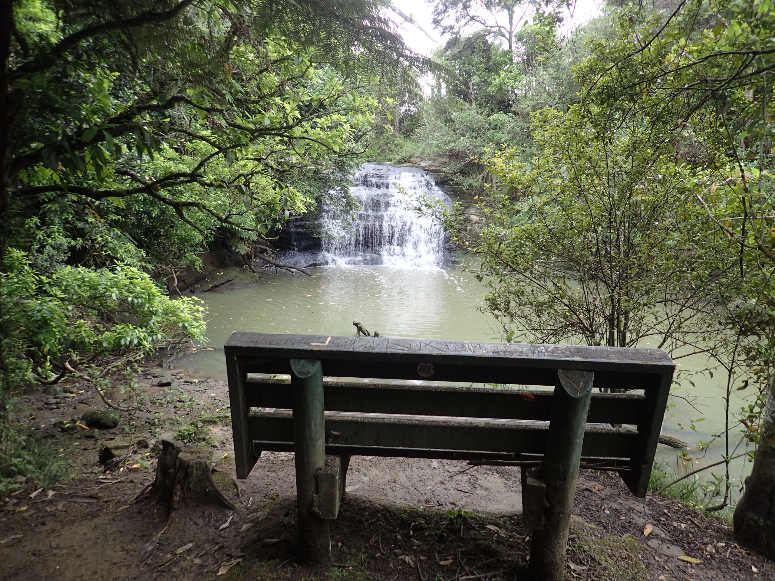 Gills Scenic Reserve